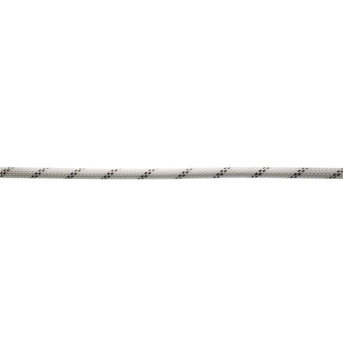Статическая веревка CAMP Camp Iridium 10 mm белый 200М