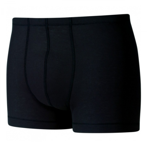 Трусы Odlo Warm