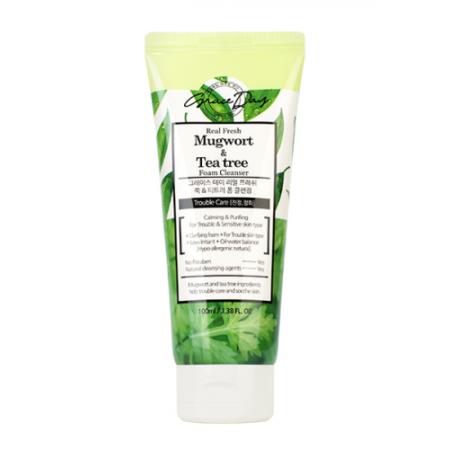 Grace Day Real Fresh Mugwort & Tea Tree Foam Cleanser