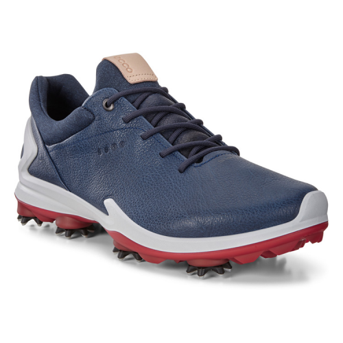 Кроссовки ECCO M GOLF BIOM G3 131804/01048