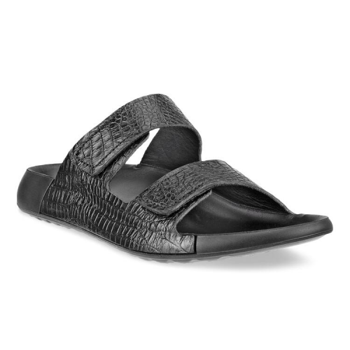 Шлепанцы ECCO COZMO W 206863/01001