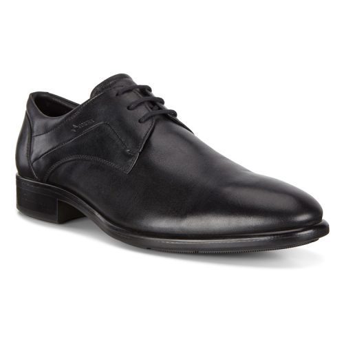 Туфли ECCO CITYTRAY 512754/01001
