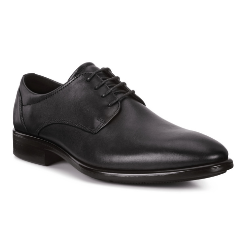 Туфли ECCO CITYTRAY 512734/01001