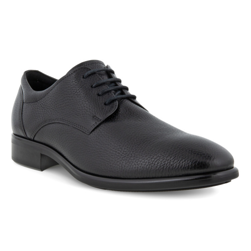 Туфли ECCO CITYTRAY 512734/11001