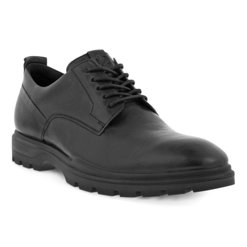 Туфли ECCO CITYTRAY AVANT M 521834/01001