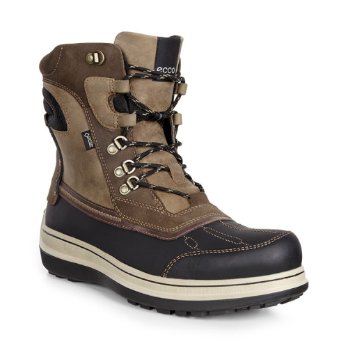 Ботинки ECCO ROXTON 532074/51623