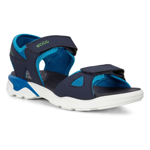Сандалии ECCO BIOM RAFT 700643/00303