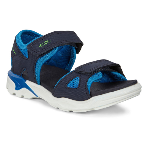 Сандалии ECCO BIOM RAFT 700642/00303