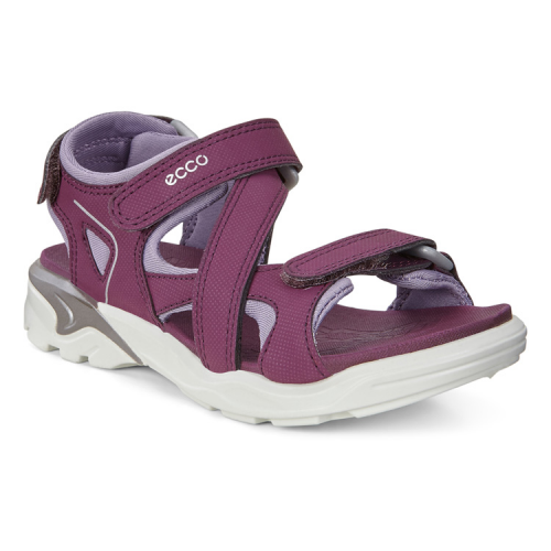 Сандалии ECCO BIOM RAFT 700652/00113