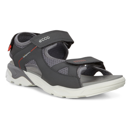 Сандалии ECCO BIOM RAFT 700603/00602