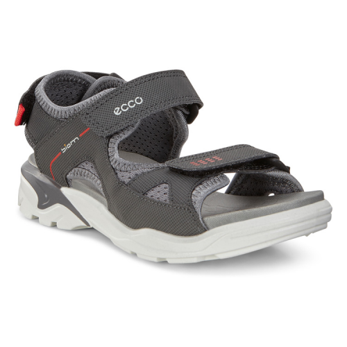 Сандалии ECCO BIOM RAFT 700602/00602