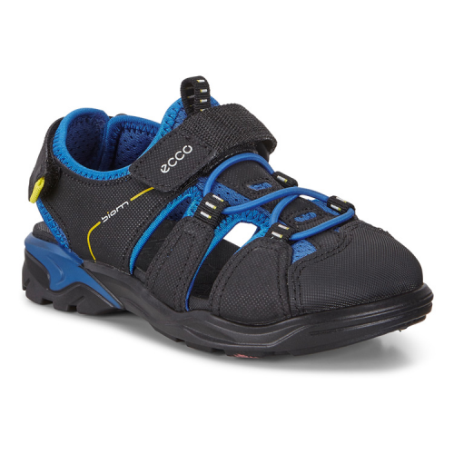 Сандалии ECCO BIOM RAFT 700612/55896