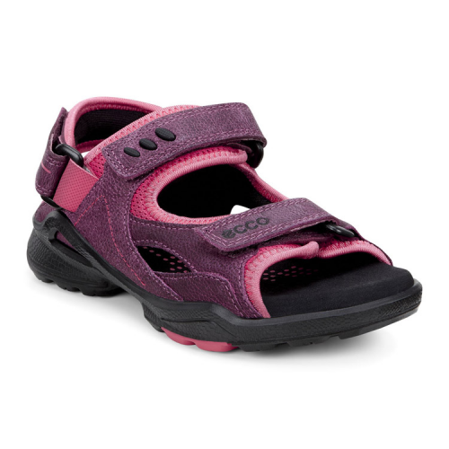 Сандалии ECCO BIOM SANDAL 703572/58917