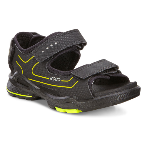 Сандалии ECCO BIOM SANDAL 703592/51052