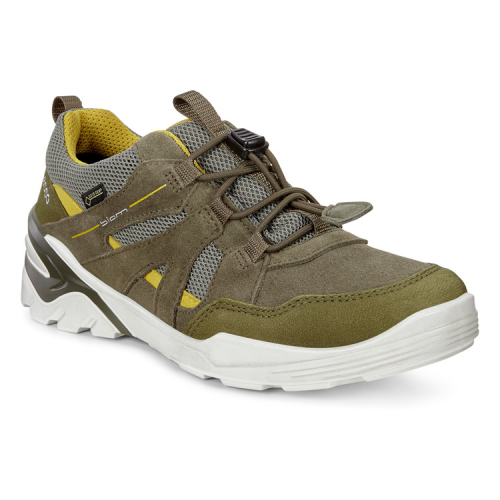 Кроссовки ECCO BIOM VOJAGE 706543/51131