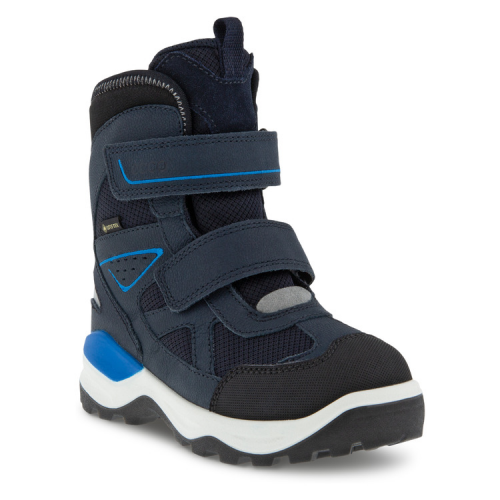 Ботинки ECCO SNOW MOUNTAIN 710262/60159