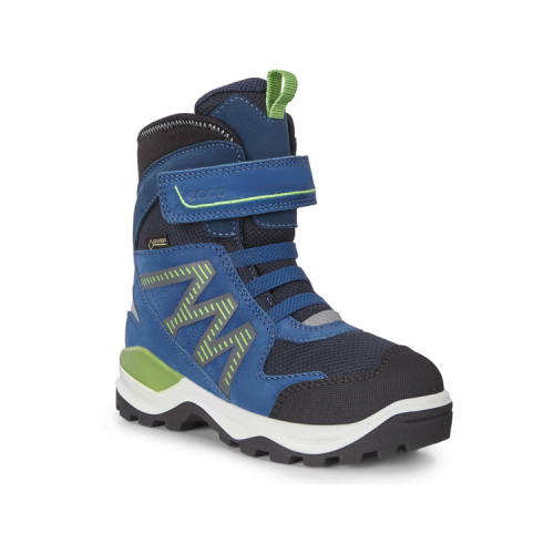 Ботинки ECCO SNOW MOUNTAIN 710273/50100