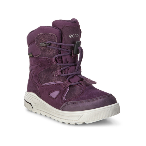 Кеды ECCO URBAN SNOWBOARDER 722252/59676