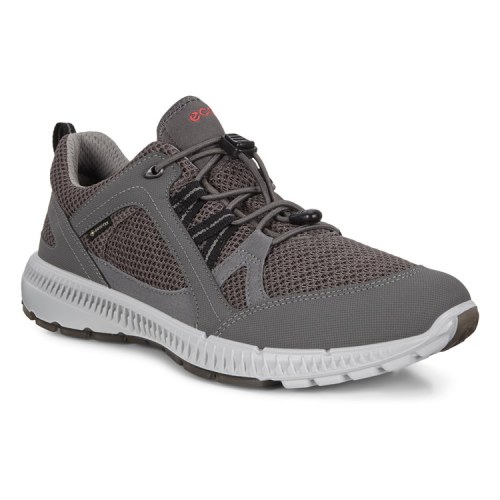 Кроссовки ECCO TERRACRUISE II W 843063/51613