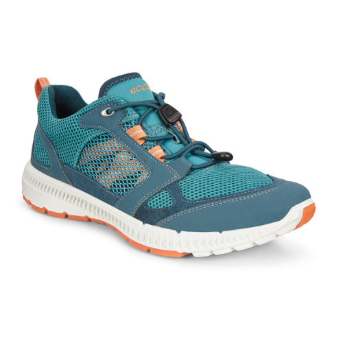 Кроссовки ECCO TERRACRUISE II W 843013/51352