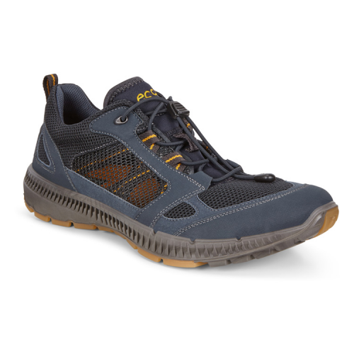 Кроссовки ECCO TERRACRUISE II M 843014/53579