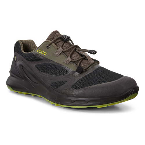 Кроссовки ECCO BIOM OMNIQUEST 853104/55974