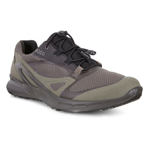 Кроссовки ECCO BIOM OMNIQUEST 853104/56795