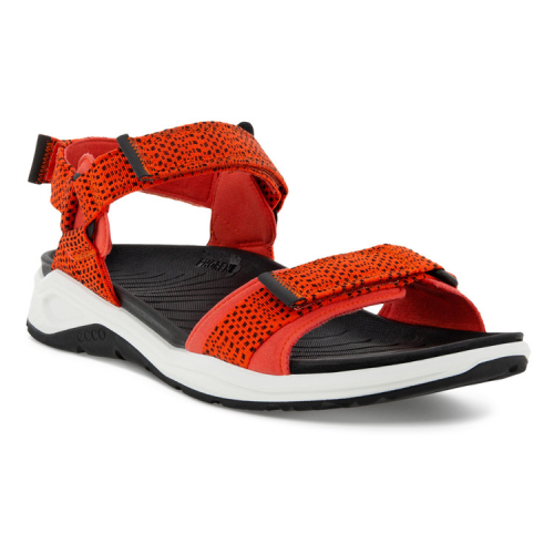 Сандалии ECCO X-TRINSIC M 880704/57011