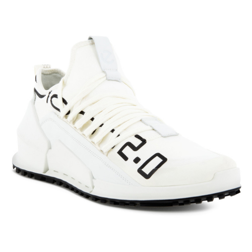 Кроссовки ECCO BIOM 2.0 M 800654/52587
