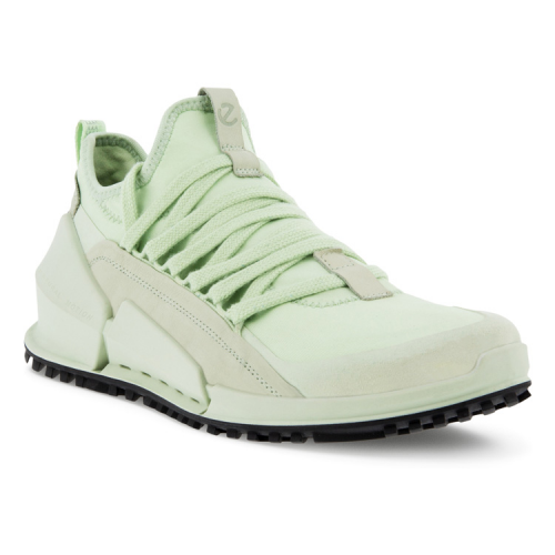 Кроссовки ECCO BIOM 2.0 W 800623/60141