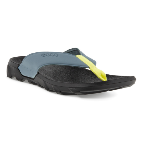 Шлепанцы ECCO MX FLIPSIDER 801804/01287