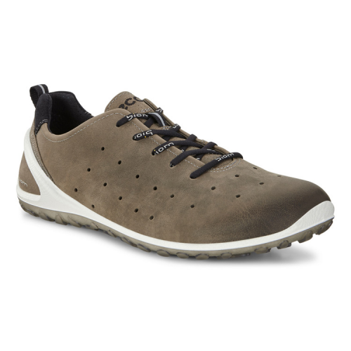 Кроссовки ECCO BIOM LITE M 802004/11543