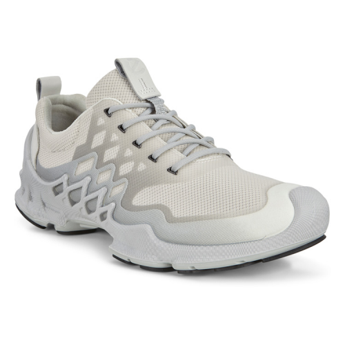 Кроссовки ECCO BIOM AEX M 802824/54510
