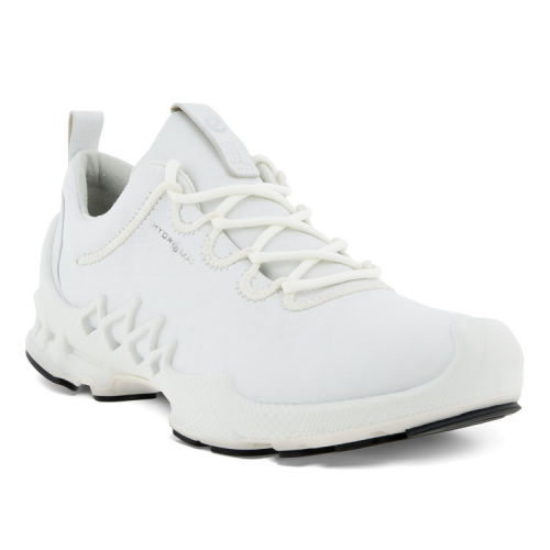 Кроссовки ECCO BIOM AEX W 802833/01007