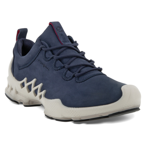Кроссовки ECCO BIOM AEX W 802833/02303