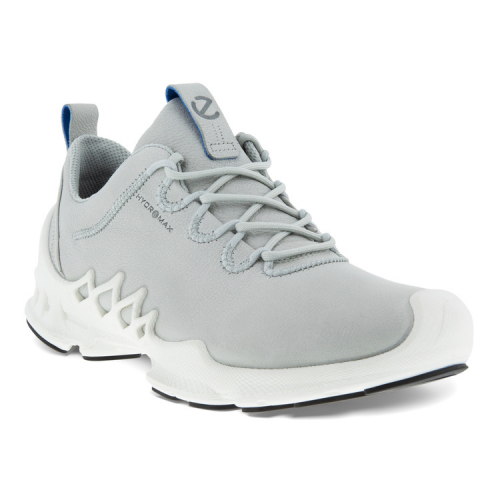 Кроссовки ECCO BIOM AEX M 802834/01379