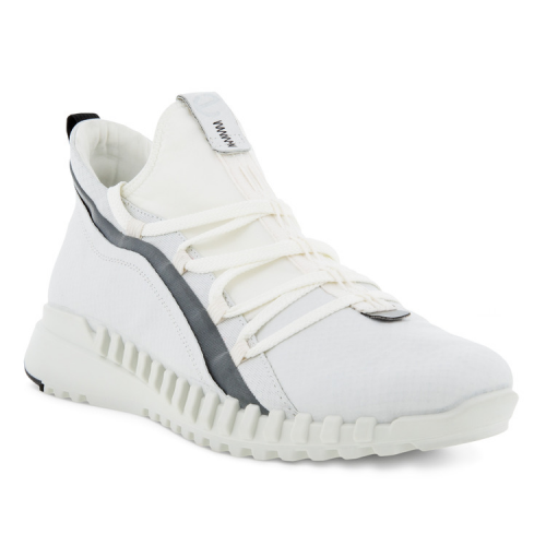Кроссовки ECCO ZIPFLEX M 803814/01007