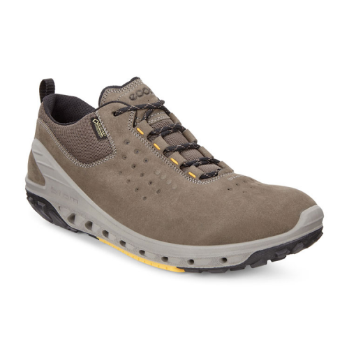 Кроссовки ECCO BIOM VENTURE M 820724/55894