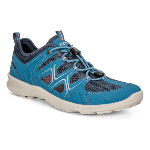 Кроссовки ECCO TERRACRUISE LT W 825773/51390