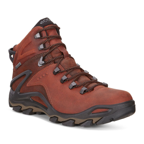 Ботинки ECCO TERRA EVO 826504/52358