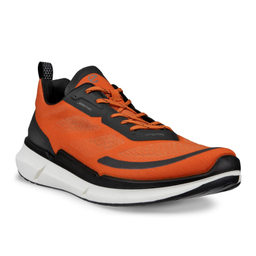 Кроссовки ECCO BIOM 2.2 M 830754/54849