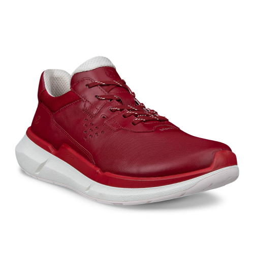 Кроссовки ECCO BIOM 2.2 W 830763/01065