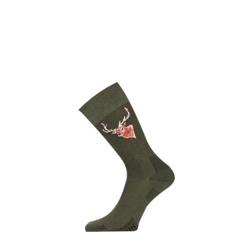 Носки Lasting LFSJ 620, cotton+polyamide, зеленый с рисунком, размер M (LFSJ620-M)