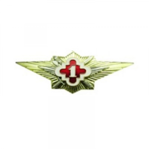 Нагрудный знак УИС Специалист 1 класса металл ФСИН