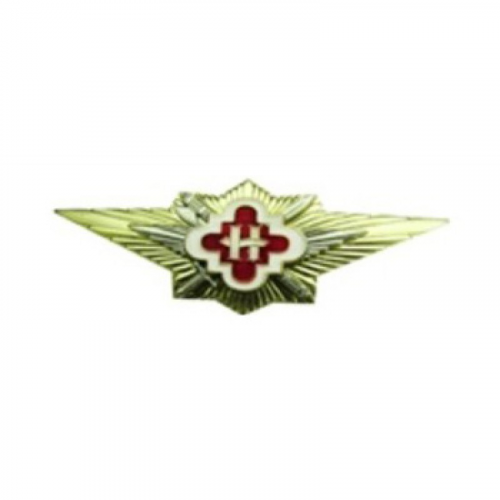 Нагрудный знак УИС Мастер наставник металл ФСИН