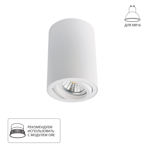 Точечный накладной светильник Arte Lamp SENTRY A1560PL-1WH