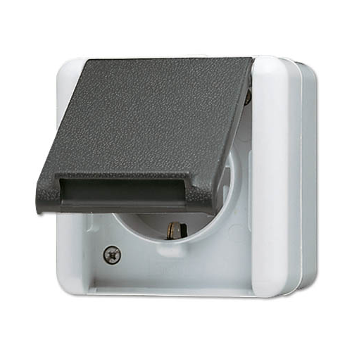Розетка с крышкой Jung WG 800 820W