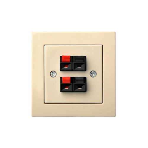 Розетка Аудио Liregus EPSILON 28-087