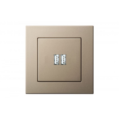 Розетка USB Liregus EPSILON 28-3242