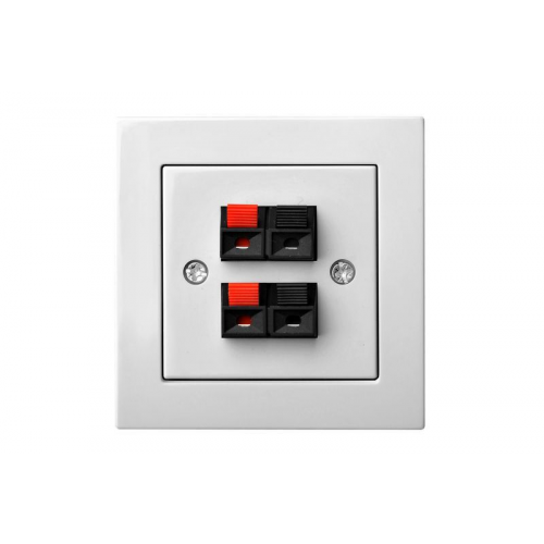 Розетка Аудио Liregus EPSILON 28-037